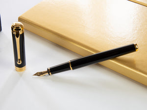 Aurora Talentum Finesse Fountain Pen, Resin, Gold trim, Black, D13-DN