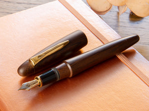 Platinum Izumo Fountain Pen, Brown, Matt Tagayasan, PIZ-50000T-20