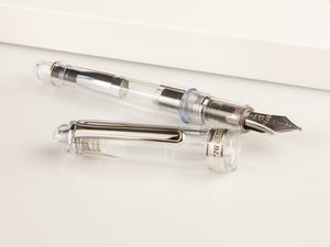 Platinum Century Oshino Fountain Pen, Resin, 14k gold, PNB-20000A