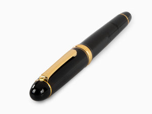 Platinum Century Fountain Pen, Resin, Gold trim, PNBM-20000-1