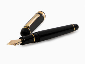 Platinum Century Fountain Pen, Resin, Gold trim, PNBM-20000-1