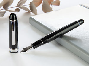 Platinum Century Fountain Pen, Resin, Music nib